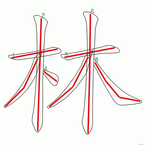 林的筆劃|「林」字的筆順、筆劃及部首